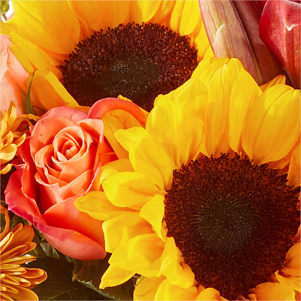 Acorn Lane Bouquet – WILL & DEE'S FLORIST, Florence AL