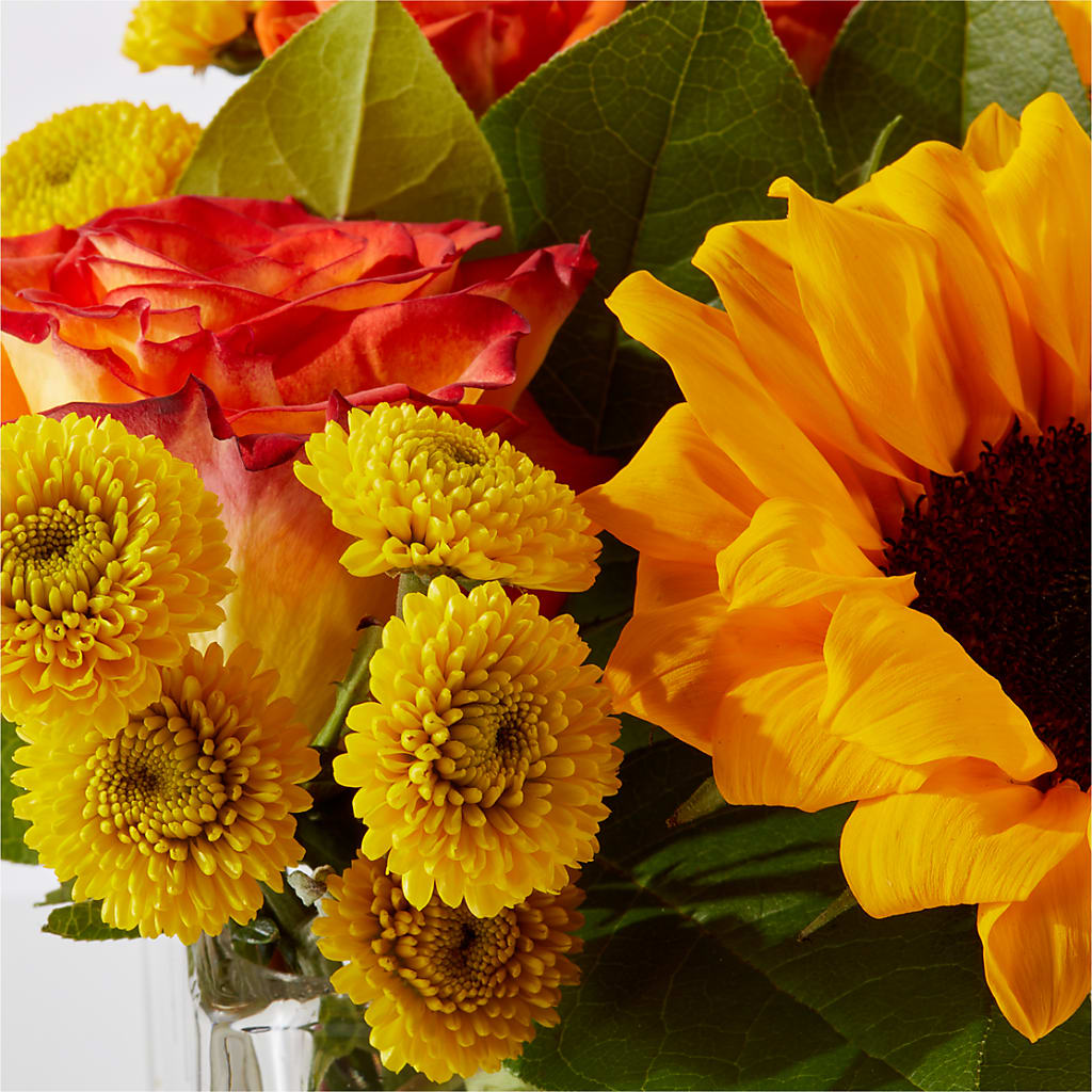 Picnic in the Park Bouquet – WILL & DEE'S FLORIST, Florence AL