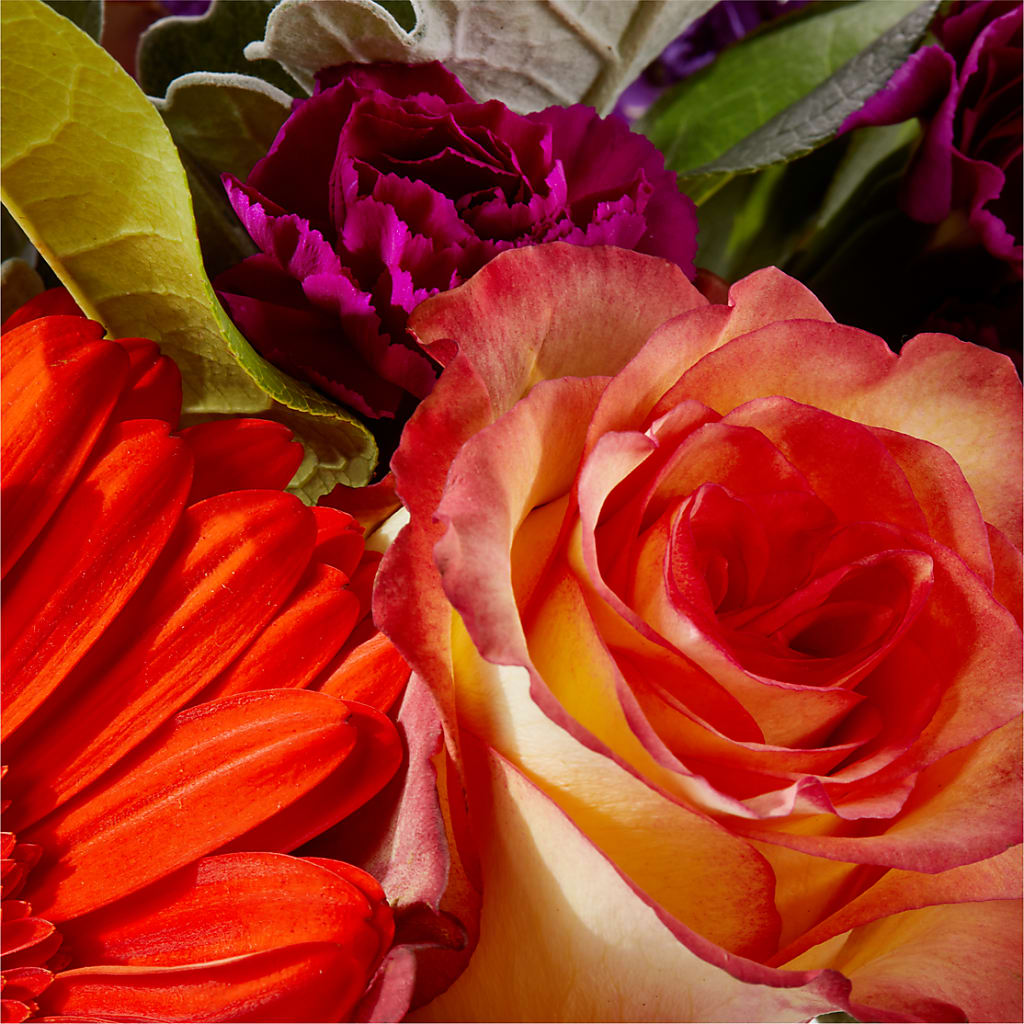 Sangria Bouquet – WILL & DEE'S FLORIST, Florence AL
