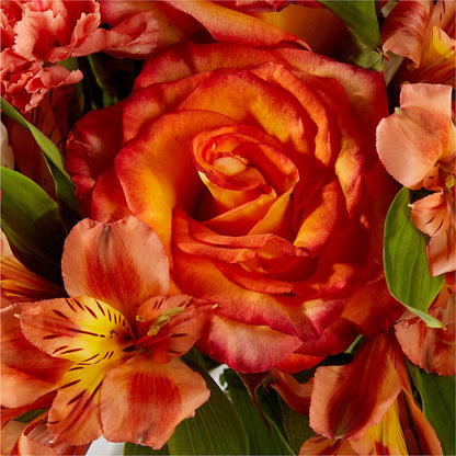 Apricot Glow Bouquet – WILL & DEE'S FLORIST, Florence AL
