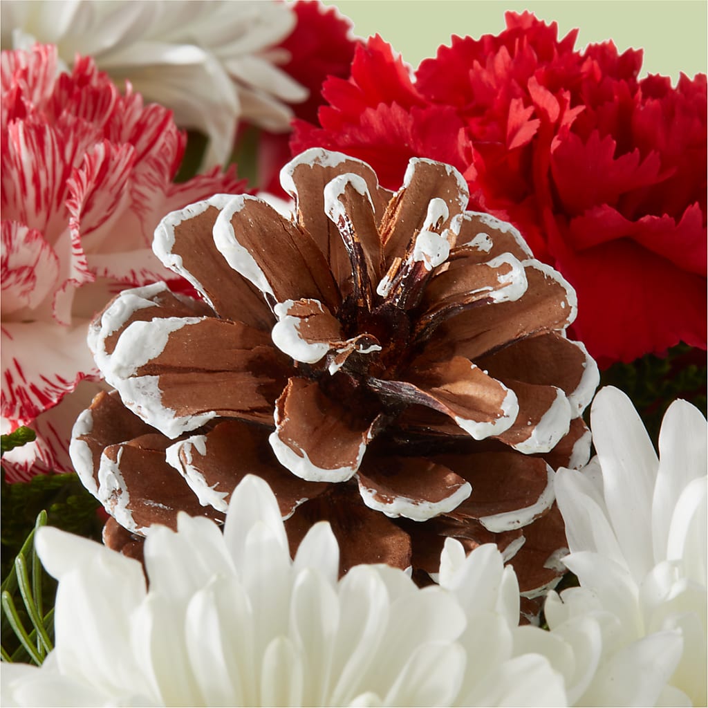 Candy Cane Lane Bouquet – WILL & DEE'S FLORIST, Florence AL