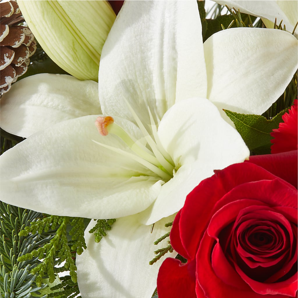 Oh So Jolly Bouquet – WILL & DEE'S FLORIST, Florence AL