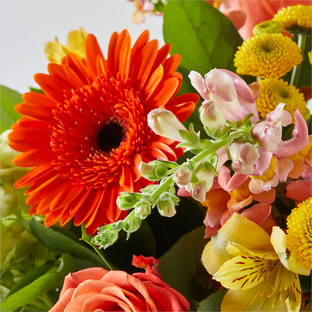 Autumn Sunshine Bouquet – WILL & DEE'S FLORIST, Florence AL