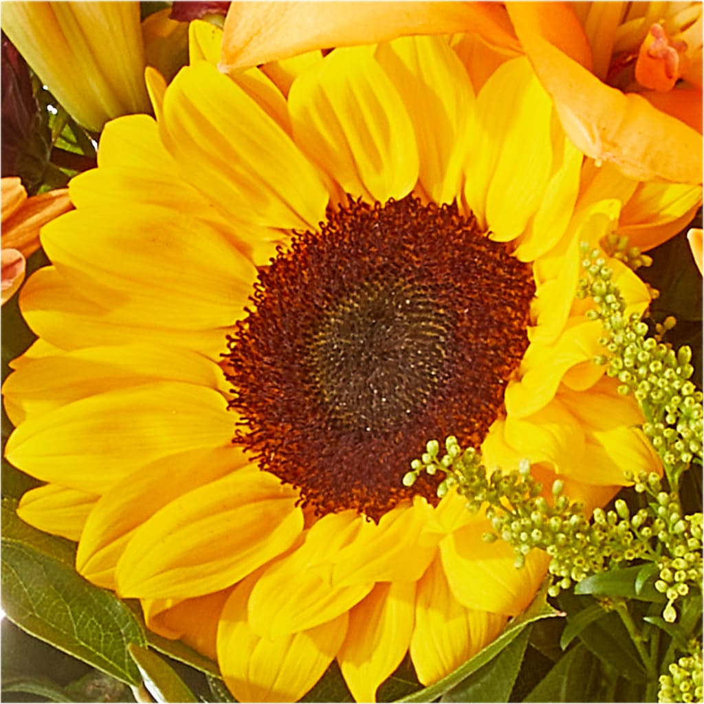 Seasons Change Bouquet – WILL & DEE'S FLORIST, Florence AL