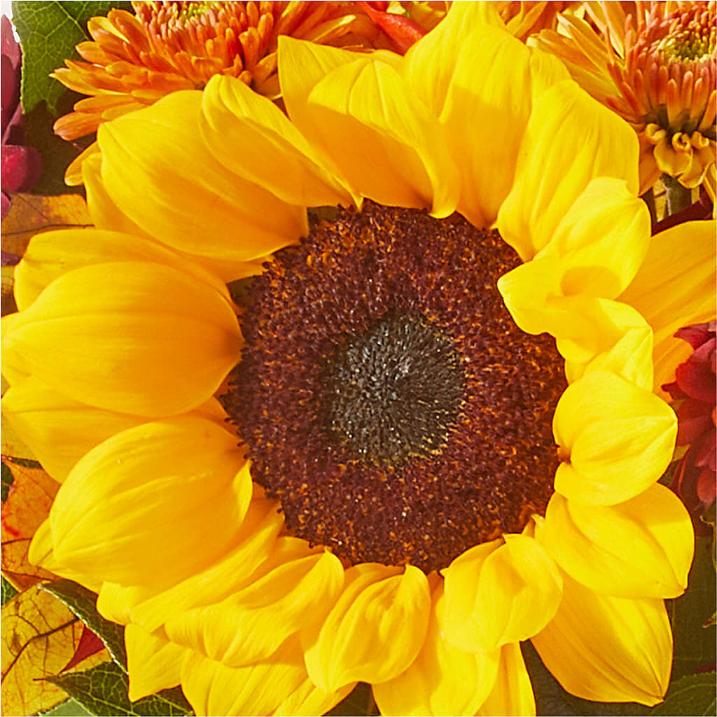 Sunny Side Bouquet – WILL & DEE'S FLORIST, Florence AL