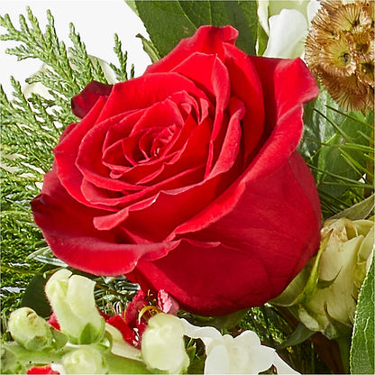 Deck the Halls Bouquet – WILL & DEE'S FLORIST, Florence AL