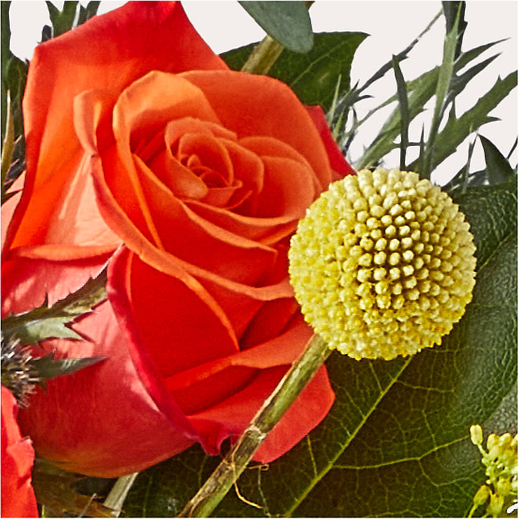 Disco Bouquet – WILL & DEE'S FLORIST, Florence AL