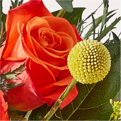 Disco Bouquet – WILL & DEE'S FLORIST, Florence AL