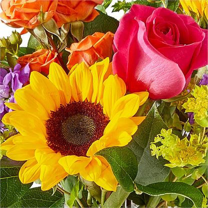 Vibrant Greetings Bouquet – WILL & DEE'S FLORIST, Florence AL