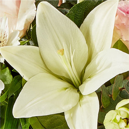Ballet Slippers Bouquet – WILL & DEE'S FLORIST, Florence AL