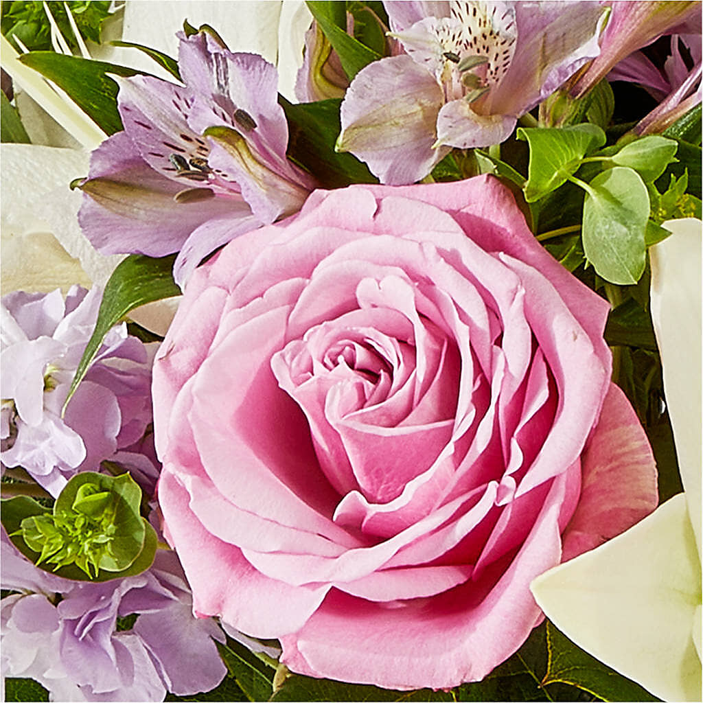 Daydreamer Bouquet – WILL & DEE'S FLORIST, Florence AL