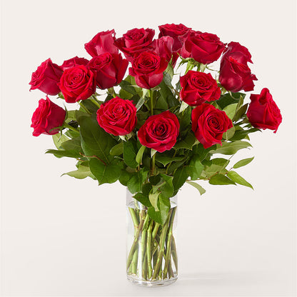 The One Red Rose Bouquet – WILL & DEE'S FLORIST, Florence AL