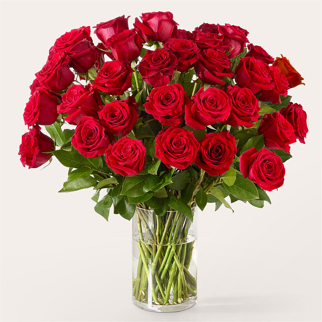 The One Red Rose Bouquet – WILL & DEE'S FLORIST, Florence AL