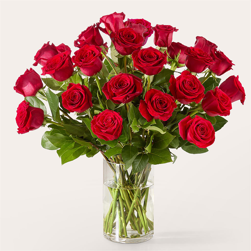 The One Red Rose Bouquet – WILL & DEE'S FLORIST, Florence AL