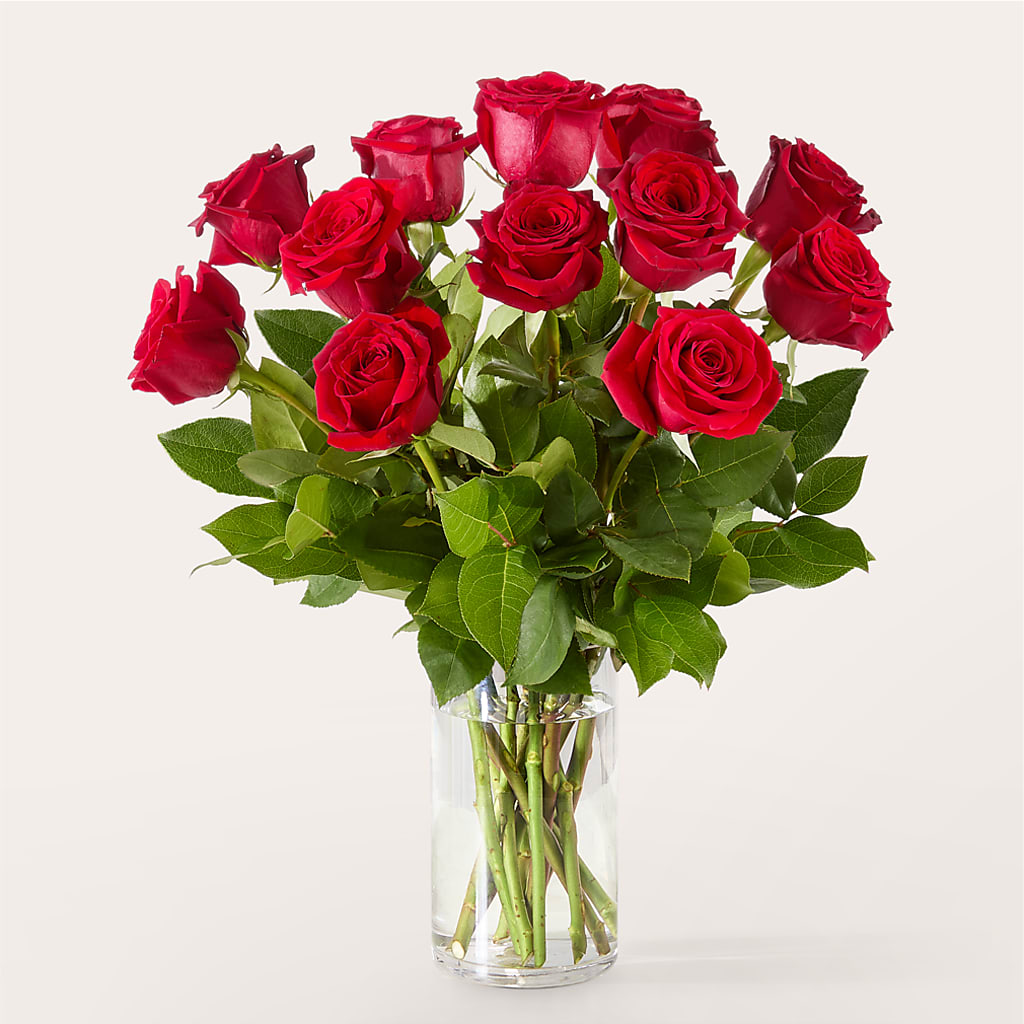 The One Red Rose Bouquet – WILL & DEE'S FLORIST, Florence AL