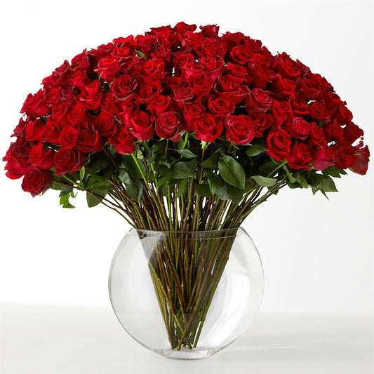 The Idealist – WILL & DEE'S FLORIST, Florence AL