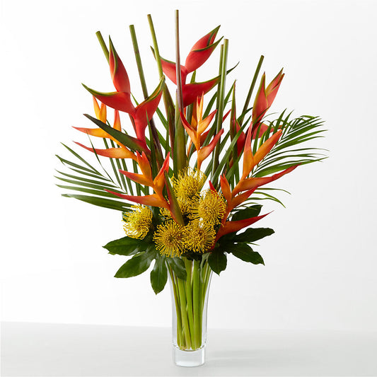 The Drama – WILL & DEE'S FLORIST, Florence AL