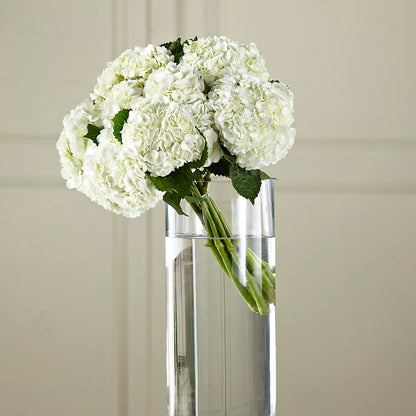White Hydrangea Hand-Tied Bouquet – WILL & DEE'S FLORIST, Florence AL