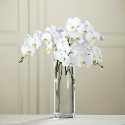 White Phalaenopsis Bouquet – WILL & DEE'S FLORIST, Florence AL
