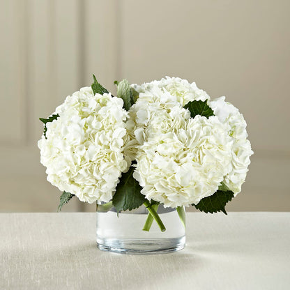 White Hydrangea Bouquet – WILL & DEE'S FLORIST, Florence AL